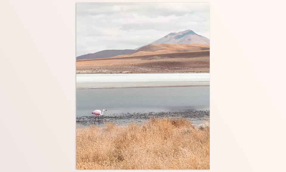 Vibrant Nature LUTs for Photo and Video - Bring nature’s beauty to life with the vivid and dynamic tones of Vibrant Nature LUTs.