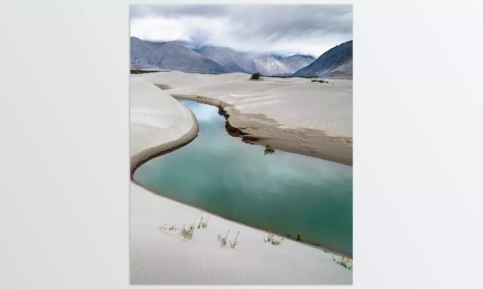 Vibrant Nature LUTs for Photo and Video - Elevate your landscapes with cinematic hues that capture every shade of the outdoors.