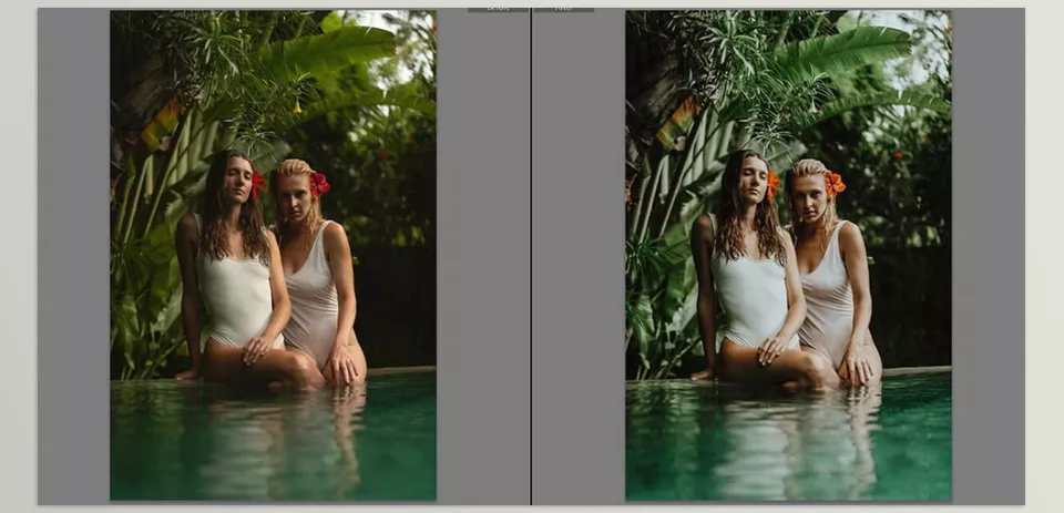 Summer Greens Lightroom Preset - Turn every green scene into a summer masterpiece with just one click