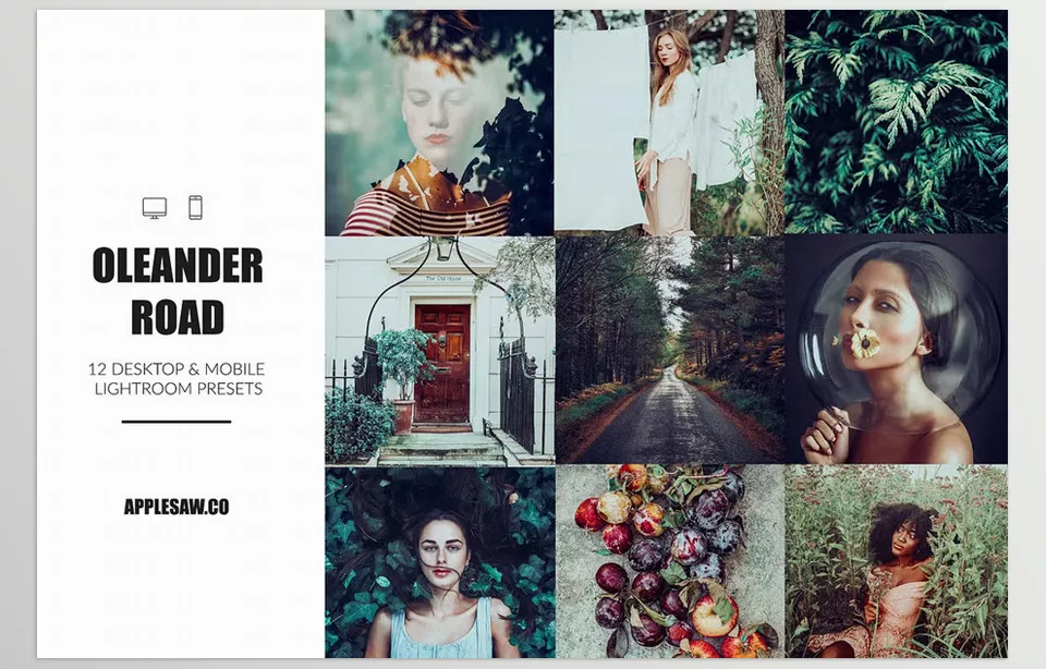 Creative Market - The Wonderland Preset Bundle - A collection of expertly designed presets that enhance images with unique color styles and diverse aesthetics.
