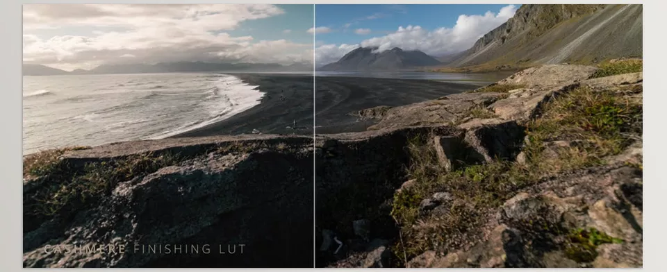 Lens Distortions - DARK PEARL - A refined cinematic tone that pulls your visuals into a cohesive, moody world.