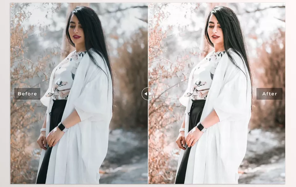 Axinite Pro Lightroom Presets - Takes only a single click