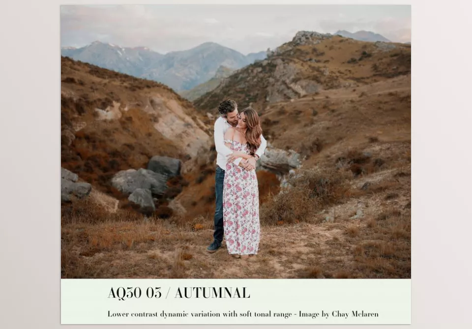 Archipelago Quest - Quest 30 Autumnal Presets - A winding path captures the quiet magic of the season, where every step feels like a page from a storybook, and the smooth, fragrant wind swirls around you.
