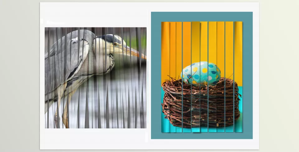 Photo Formation - All strips can be rotated, repositioned, and removed.