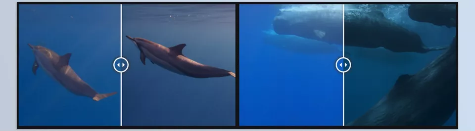JustKay Underwater GoPro LUT's - Enhance every underwater scene with cinematic depth and consistency, ideal for capturing the beauty beneath the surface.