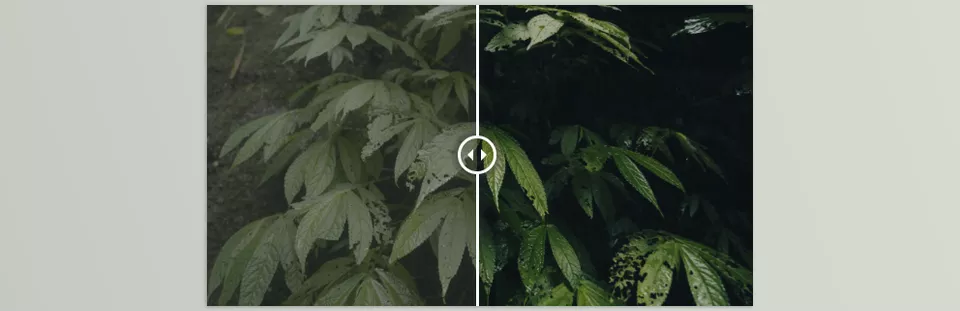 Film Space - Justkay Sony Slog Luts - Achieve a cohesive, professional look with LUTs designed to enhance your Sony camera’s S-Log3 footage.
