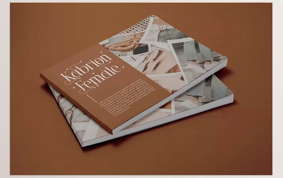 Ronova Modern Serif Font - Breathe new life into your designs with modern sophistication.