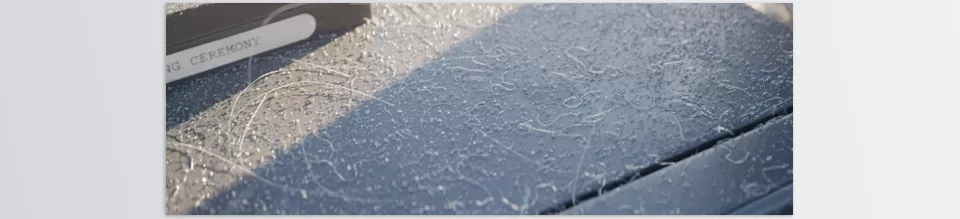 One Click Dust Instant Realism - Great-looking 3D renders can be achieved while enhancing the realism of your models with floating ambient particles.