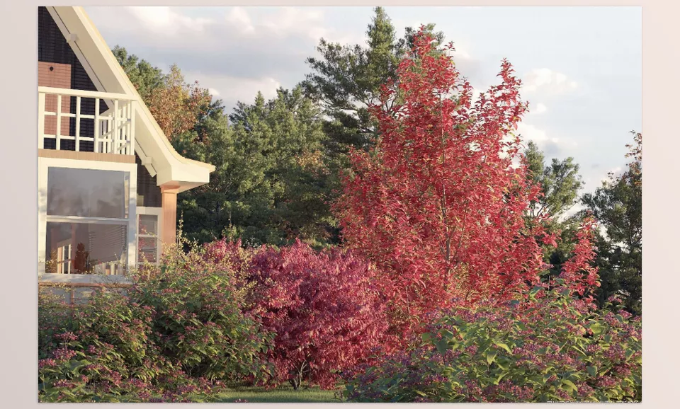 Maxtree - Plant Models Vol 81 - Lush, high-quality 3D vegetation for breathtaking outdoor scenes.