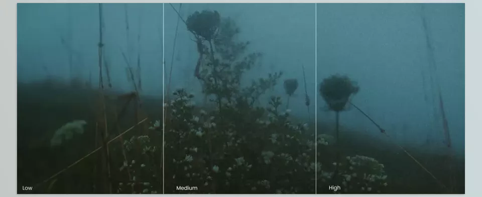 Film Emulation Pro - Turn your footage into cinematic film with authentic color tones and textures.