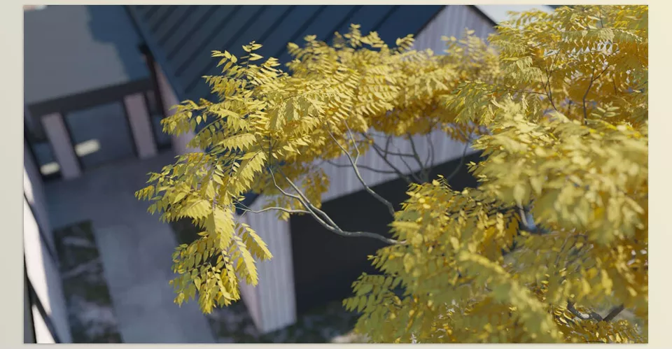 Maxtree - Plant Models Vol 26 - A detailed representation of high-quality textures ensures a realistic appearance.