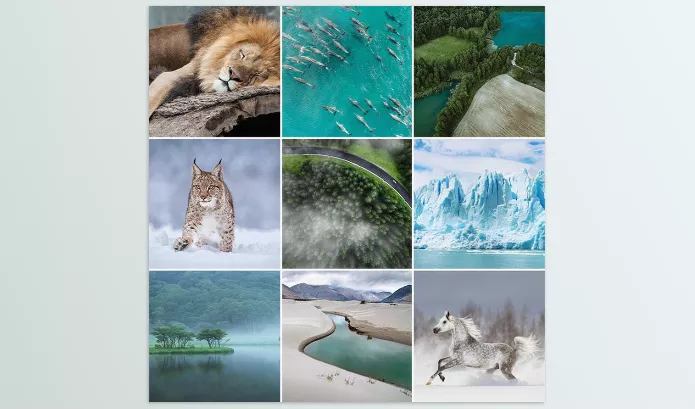 Phlearn – Vibrant Nature LUTs for Photo and Video Download