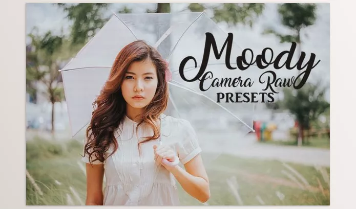 Creative Market – Camera Raw Preset Collection Download 1941088
