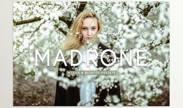 Creative Market – Madrone Pro Lightroom Presets Download 7193788