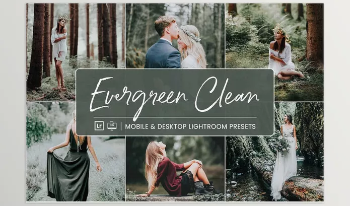 NesPresets – Evergreen Clean Download