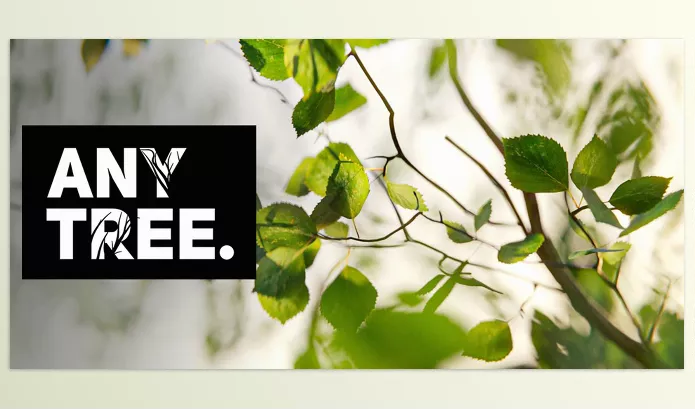 Blender – Anytree Download v2.1.2 (Trees With Any Shape)