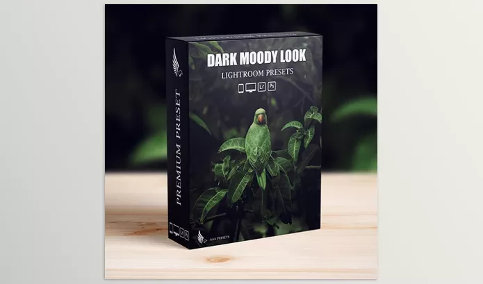 Videohive – Dark Moody New Look Lightroom Presets Pack Download 52396382
