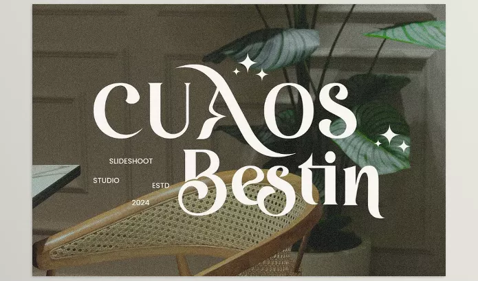 Creative Market – Cuaos Bestin Serif Font Download 289453943