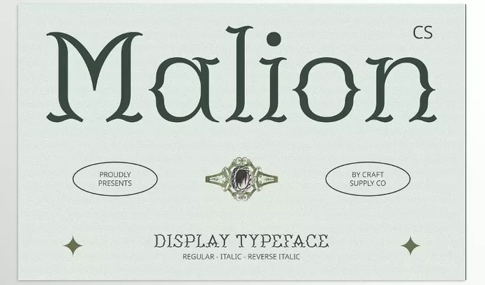 Creative Market – CS Malion Classic Font Download 289454417