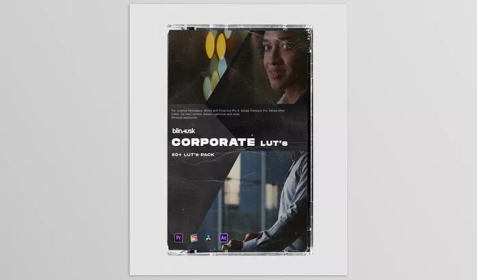 Blindusk – Corporate LUTs Download