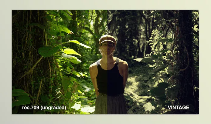 Danny Gevirtz – Creative Filmmaking Luts Download
