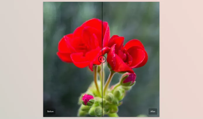 Cobalt Image – The Base Pack for Adobe Download v3 (for Canon EOS R)