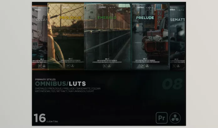 Benj Villena – Omnibus LUTS Download
