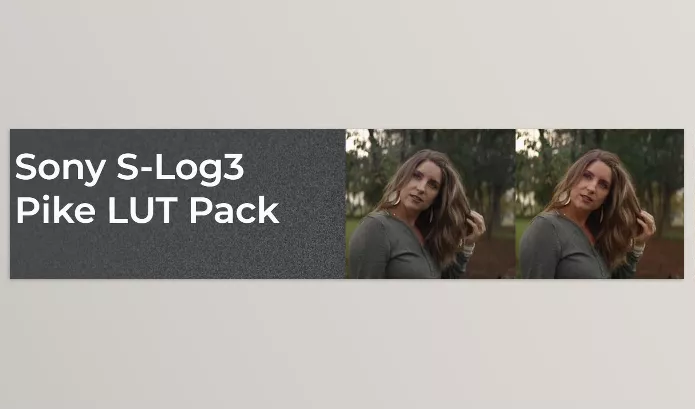Dslrvideoshooter – Sony S Log3 Pike LUT Pack Download