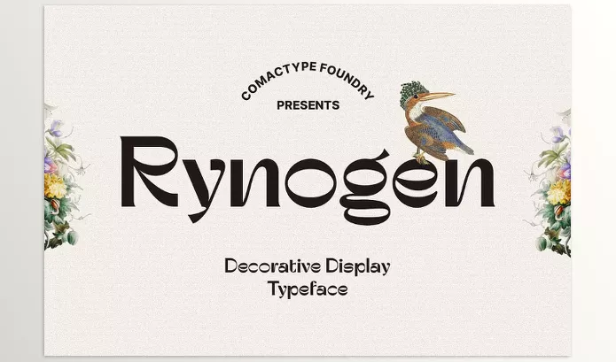 Creative Market – Rynogen Decorative Typeface Download 291235288