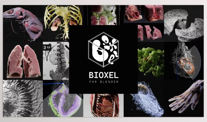 Blender – Bioxel Nodes Download v1.0.9