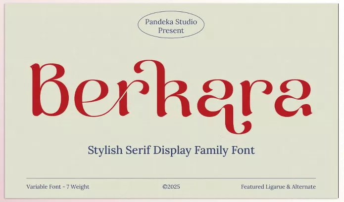 Creative Market – Berkara Stylish Serif Display Download 291339675