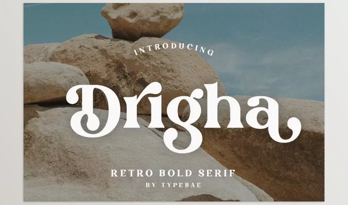Creative Market – Drigha Stylish Serif Font Download 291232444