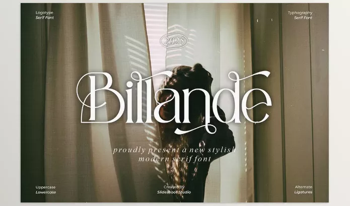 Creative Market – Billande Stylish Serif Font Download 291434703