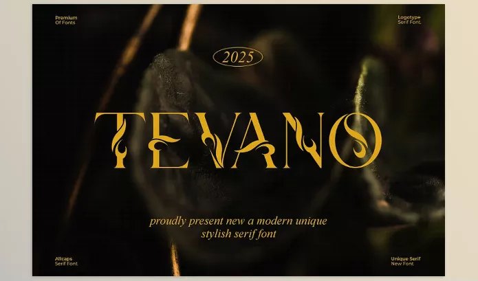 Creative Market – Tevano Modern Unique Serif Font Download 291534532
