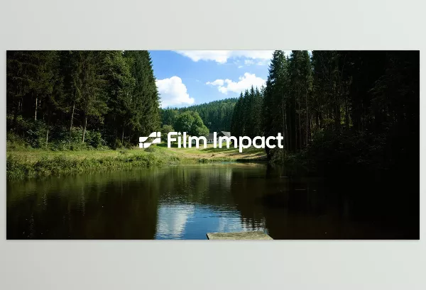 Film Impact – Premium Video Effects Download v25.2.5 for Premiere (Win) (Transitions v4.9.6)