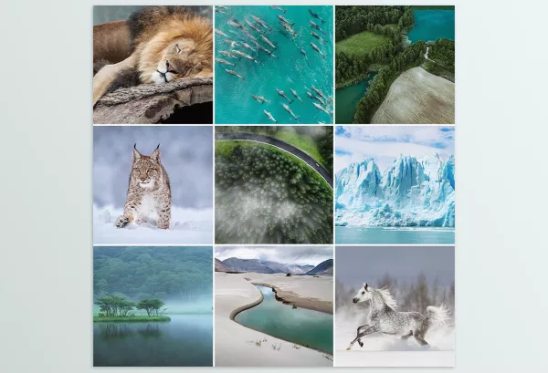 Phlearn – Vibrant Nature LUTs for Photo and Video Download