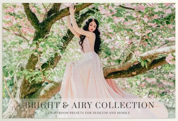 Creative Market – Light and Airy Lightroom presets Download 6144020