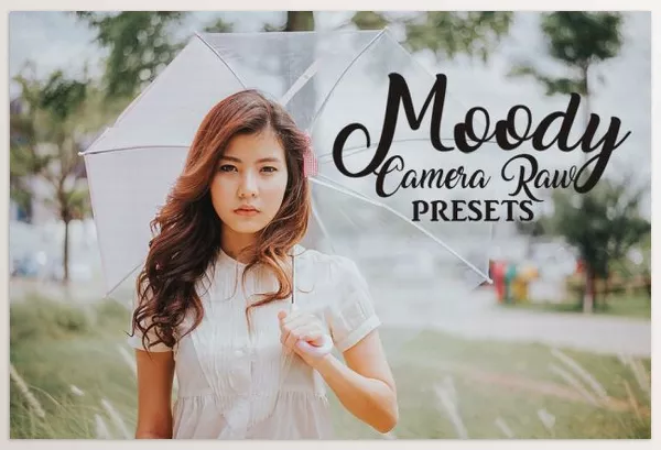 Creative Market – Camera Raw Preset Collection Download 1941088