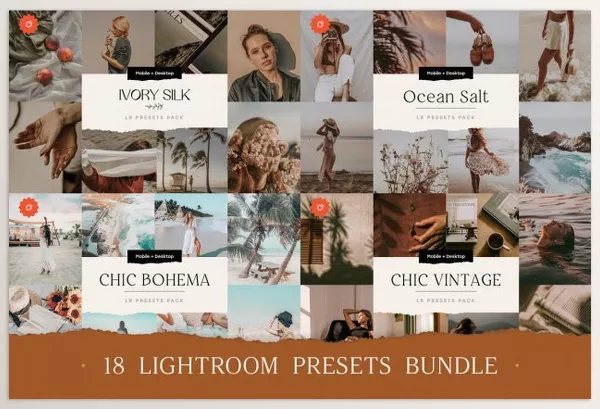 Creative Market – 18 TOP Chic Presets Bundle Download 5503905