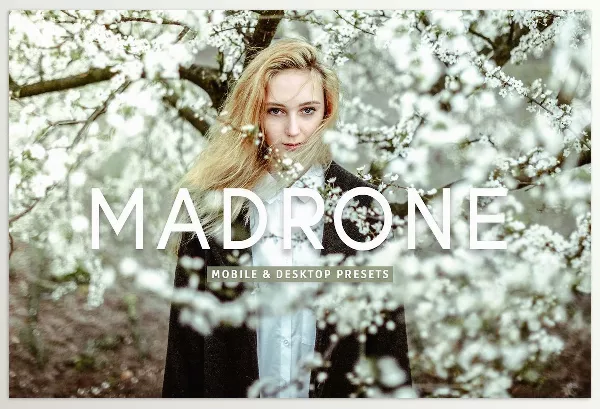 Creative Market – Madrone Pro Lightroom Presets Download 7193788