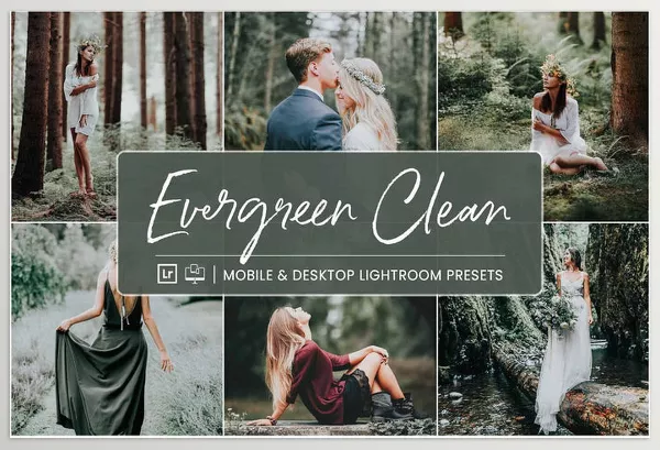 NesPresets – Evergreen Clean Download