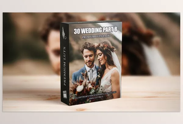 Videohive – Advanced Cinematic LUTs for Wedding Videographers Download 50092255 (30 Must-Have Presets)