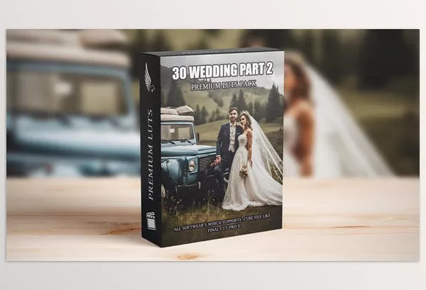 Videohive – Elevate Your Wedding Films Download 50041509 (30 Professional Cinematic LUTs for Videographers)