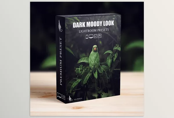 Videohive – Dark Moody New Look Lightroom Presets Pack Download 52396382