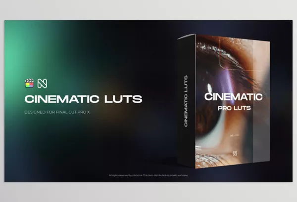 Videohive – Cinematic LUT Bundle for Final Cut Pro X Download 50951100