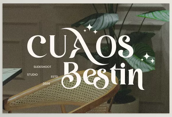 Creative Market – Cuaos Bestin Serif Font Download 289453943