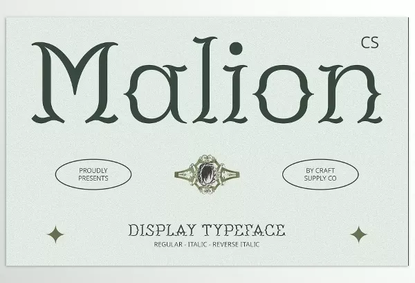 Creative Market – CS Malion Classic Font Download 289454417