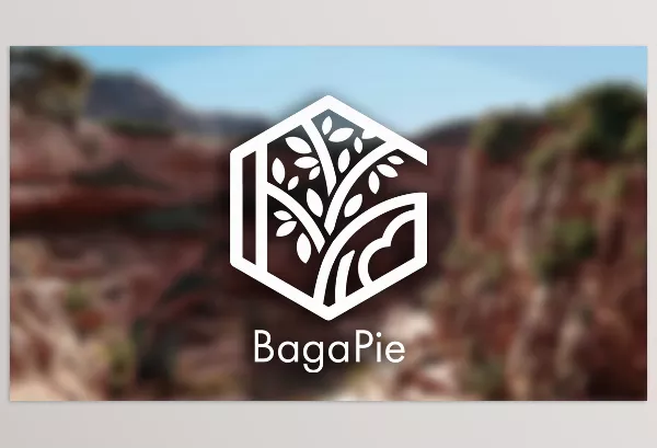Blender – Bagapie Assets Download v11.0.4 + Assets