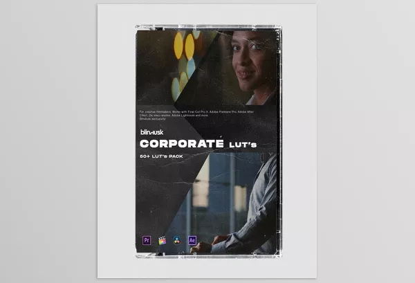 Blindusk – Corporate LUTs Download