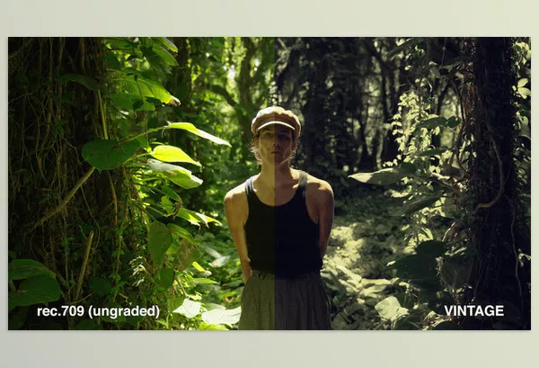 Danny Gevirtz – Creative Filmmaking Luts Download